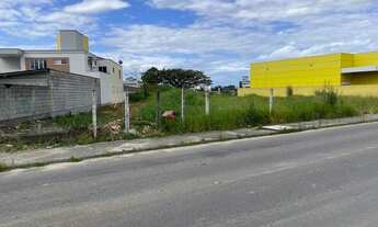 Imagem 6: Terreno a 70 metros da Marginal da BR 101 com 3.368 m² no Aririú - Palhoça - SC