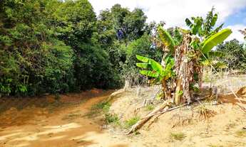 Imagem 2: Sítio em Domingos Martins com 100.000m²