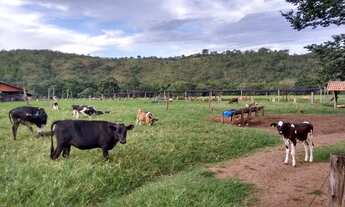 Imagem: Fazenda para venda 25 Alqueires em Zona