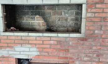 Imagem 3: Vendo duas casas-Granja Esperança