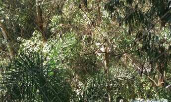 Imagem 5: APARTAMENTO - MORUMBI - SP