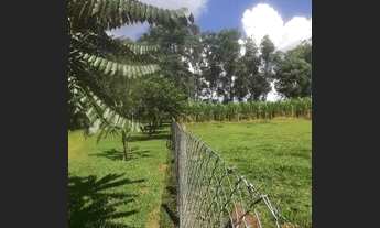 Imagem 3: Sítio / Fazenda 64.300m²