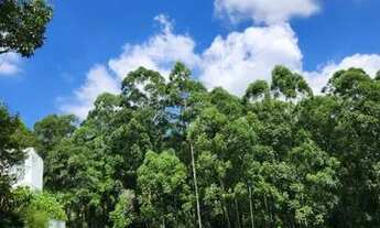 Imagem 5: Lindo Terreno (Duplo) Tamboré 11 em Alphaville - Natureza Plena