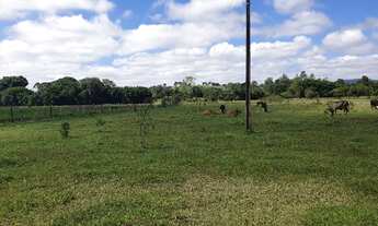 Imagem 5: Área de Terra - 12 mil mt2