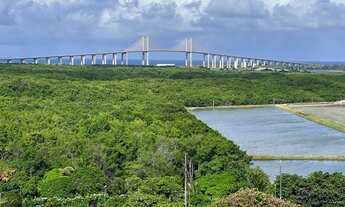 Imagem 5: Alugo apartamento