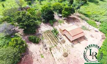 Imagem 3: Fazenda 28 Alqueires Próximo a Palmas-To