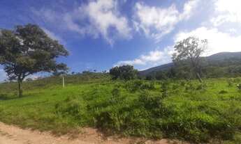 Imagem 5: FAZENDA EM CAMPINORTE 55 ALQUEIRES