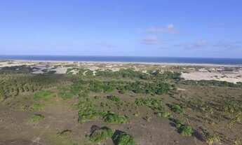 Imagem 3: Área com 280.000 m2 Boa Vista - Praia do Coqueiros