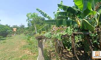 Imagem 4: Terreno (terreno normal