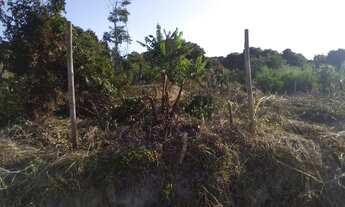 Imagem 5: TERRENO NO ALTO DA BOA VISTA, ARMAÇÃO DOS BÚZIOS