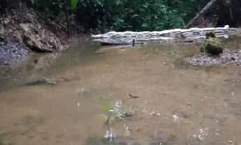 Imagem 6: Vendo sítio no ramal do rio branquinho