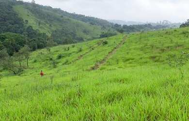 Imagem 6: Lote para venda tem 500 m2 quadrados