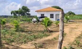 Imagem: Sitio com frutíferas, horta, galinheiro