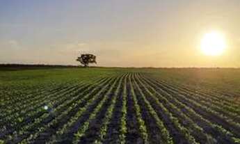 Imagem: Fazenda a venda no Norte do Piauí!!!