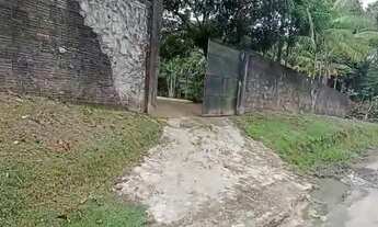 Imagem 3: CHÁCARA NO TARUMÃ 5000m2