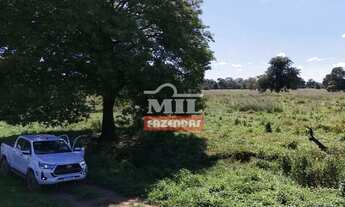 Imagem 6: Fazenda 150 Alqueires (726 Hectares) Britania - GO