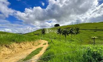 Imagem: Terreno Rural com 4 Alqueires à Venda em