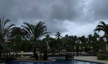 Imagem 5: Lote maikai, melhor oferta^