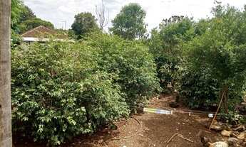 Imagem 7: Vendo casa em santa Barbara próximo a Ivaiporã PR