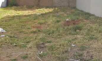 Imagem: Lote comercial Vida Nova (Novo Mundo