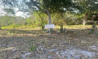 Imagem 3: Vende- se terreno em Massagueira