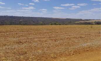 Imagem 3: Fazenda de 128 alqueires em Doverlandia-Go