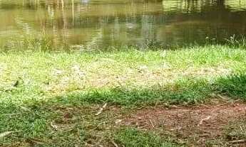 Imagem 5: 3 alqueires a venda no município de Varjão- GO