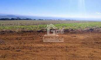 Imagem 4: Fazenda com 126 Alqueires em Cana-de-Acúçar na cidade de São Simão