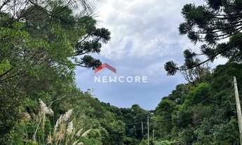 Imagem 6: Lote em Rua 16 - Colinas - São Francisco de Paula/RS