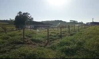 Imagem 2: Sitio 20.500 2 Hectares (Lindo) R$850.000,00