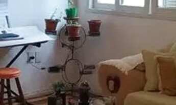 Imagem 2: Apartamento com 3 quartos à venda em Rio Branco - RS