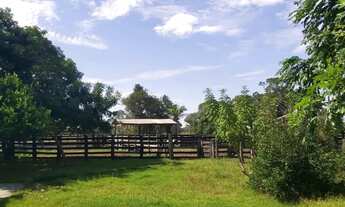 Imagem 4: Imóvel para venda tem 1100 metros quadrados com 23 quartos em Zona Rural - Poconé - MT