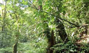 Imagem 7: 20 mil MTS rico em agua 79 mil reais 14 km da rodovia Regis Bittencourt