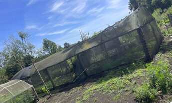 Imagem 4: Chácara à venda, TABATINGA, TIJUCAS DO SUL - PR