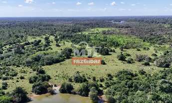 Imagem 4: Fazenda 150 Alqueires (726 Hectares) Britania - GO