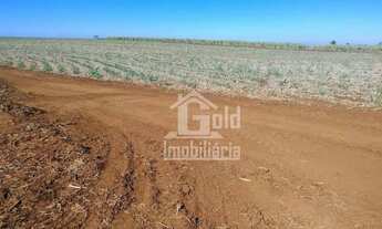 Imagem: Fazenda com 126 Alqueires em Cana-de-Acúçar