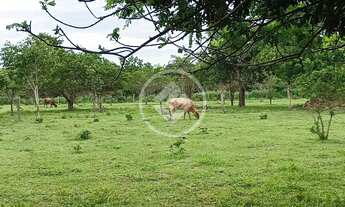 Imagem 7: Sítio Quintal do Morro PORTEIRA FECHADA -35 km do centro de Cuiabá propriedade fica aos pé