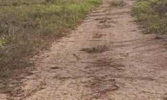 Imagem: Vende-se uma excelente fazenda de 149.9