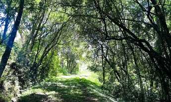 Imagem 2: Terreno declive aceita pet