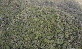Imagem 2: Chácara 63.000 m em Campo Magro- Paraná