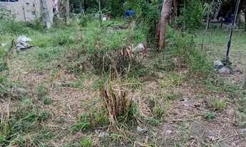 Imagem 3: Vendo terreno em Santa Cruz Rj