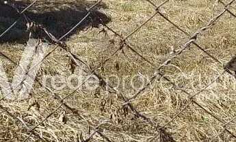 Imagem 5: Terreno - Vila Nogueira - Campinas