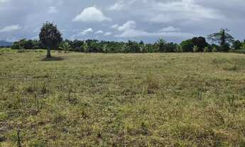 Imagem 4: Vendo maravilhosa fazenda no município de laje