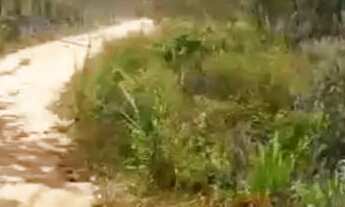 Imagem 2: Terreno em São José Distrito de Maria Quitéria