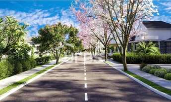 Imagem: Lote à venda no Vinhas Flamboyant