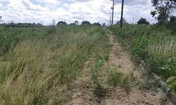 Imagem: Oportunidade Única em GLORIA DO GOITA