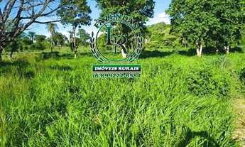Imagem: Fazenda-Chácara 13 Alqueires Próximo Paraiso