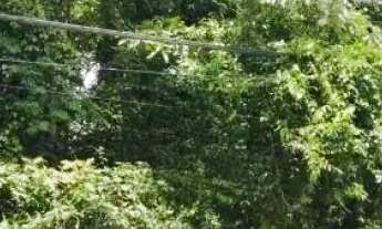 Imagem 7: AREA - DA LAGOA - SP