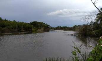 Imagem 3: 410 alqueires Fazenda em Tailandia por 100 mil o alqueire toda pronta e documentada