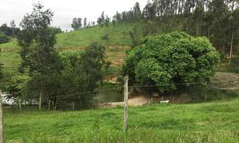 Imagem 2: Sítio com 4 alqueires em Caxeta